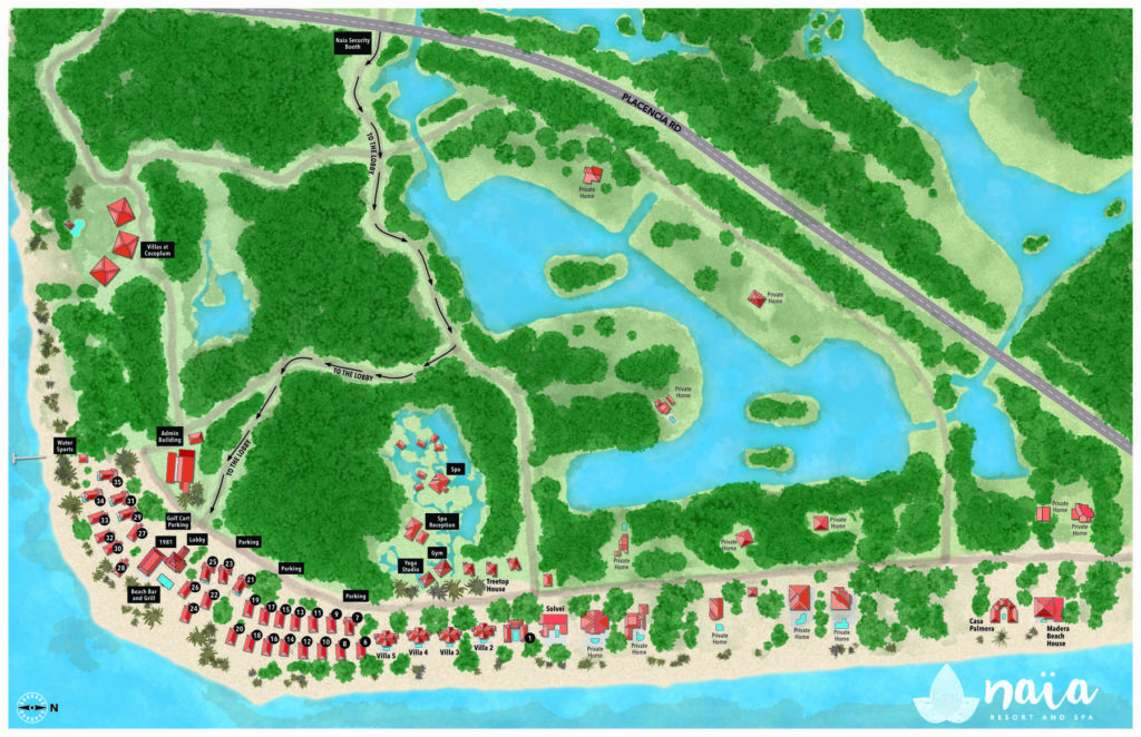 Map for Naia Resort and Spa in Belize, created in Affinity Designer using raster brushes for trees, vegetation, water and other areas.